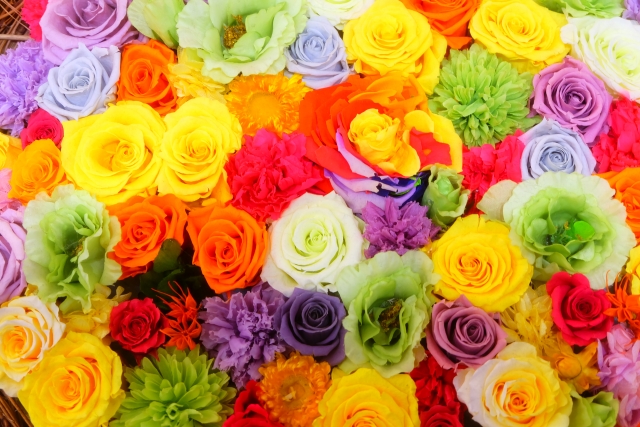flowers